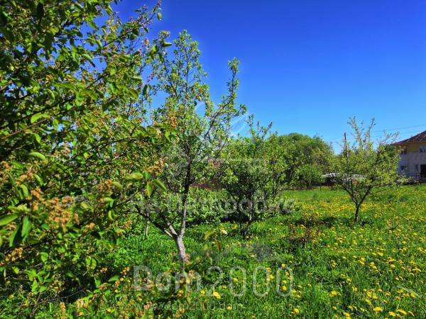 For sale:  land - 4 str., снт. Fortuna (9944-049) | Dom2000.com