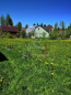 For sale:  land - 4 str., снт. Fortuna (9944-049) | Dom2000.com #69825810