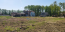 For sale:  land - с. Mescherino (10350-051) | Dom2000.com #75368310