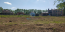 For sale:  land - с. Mescherino (10350-051) | Dom2000.com #75368311