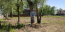 For sale:  land - с. Mescherino (10350-051) | Dom2000.com #75368320