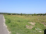 For sale:  land - Romankiv village (5318-052) | Dom2000.com #69033671