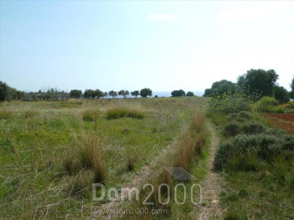 For sale:  land - Pelloponese (4119-055) | Dom2000.com