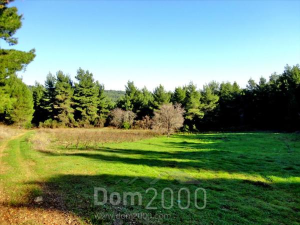 For sale:  land - Евія (4111-056) | Dom2000.com