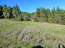 For sale:  land - Евія (4111-056) | Dom2000.com #24453281