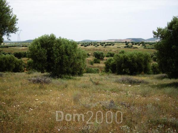 Продам земельный участок - Халкидики (4115-057) | Dom2000.com