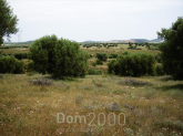 For sale:  land - Chalkidiki (4115-057) | Dom2000.com
