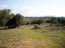 For sale:  land - Chalkidiki (4115-057) | Dom2000.com #24496432