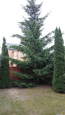Продам дом - ул. Травнева,, с. Софиевская Борщаговка (8211-058) | Dom2000.com #55317279
