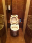 Lease 2-room apartment - Героев Сталинграда проспект, 17 str., Obolonskiy (9185-060) | Dom2000.com #62734424