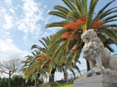 For sale hotel/resort - Kerkyra (Corfu island) (4119-061) | Dom2000.com