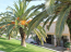 For sale hotel/resort - Kerkyra (Corfu island) (4119-061) | Dom2000.com #24539950