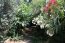 For sale:  home - Attiki (5136-063) | Dom2000.com #33115961