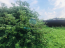 For sale:  land - Russia (10494-064) | Dom2000.com #75892335
