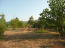 For sale:  land - Chalkidiki (4119-066) | Dom2000.com #24539998