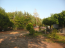 For sale:  land - Chalkidiki (4119-066) | Dom2000.com #24540000