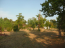 For sale:  land - Chalkidiki (4119-066) | Dom2000.com #24540009