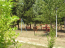 For sale:  land - Chalkidiki (4119-066) | Dom2000.com #24540011