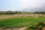 For sale:  land - Iraklion (crete) (4111-068) | Dom2000.com #24453364