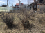 For sale:  land - Депутатская улица, 22 str., п. Pad Melnichnaya (10599-069) | Dom2000.com #78014644