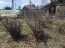 For sale:  land - Депутатская улица, 22 str., п. Pad Melnichnaya (10599-069) | Dom2000.com #78014645