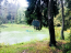 For sale:  land - 3 str., Zvenigorod city (10251-070) | Dom2000.com #73180085