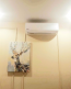 Lease 1-room apartment in the new building - Бульвар str., Korolovskyi (10047-071) | Dom2000.com #70940928
