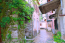 For sale:  home - Kerkyra (Corfu island) (4118-072) | Dom2000.com #24529692