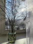 For sale:  2-room apartment - 2-я Железнодорожная улица, 8, Irkutsk city (10623-074) | Dom2000.com #77307666
