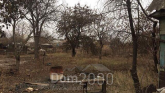 For sale:  home - Днепропетровская, 123/3 str., Kramatorsk city (9662-075) | Dom2000.com