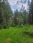 For sale:  land - Сосновая улица, 30 str., р-н. Shelehovskiy (10469-077) | Dom2000.com #75606061