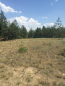 For sale:  land - Лесная улица, 73/3 str., Donetska oblast (9670-079) | Dom2000.com #67126420