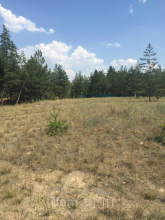 For sale:  land - Лесная улица, 73/3 str., Donetska oblast (9670-079) | Dom2000.com