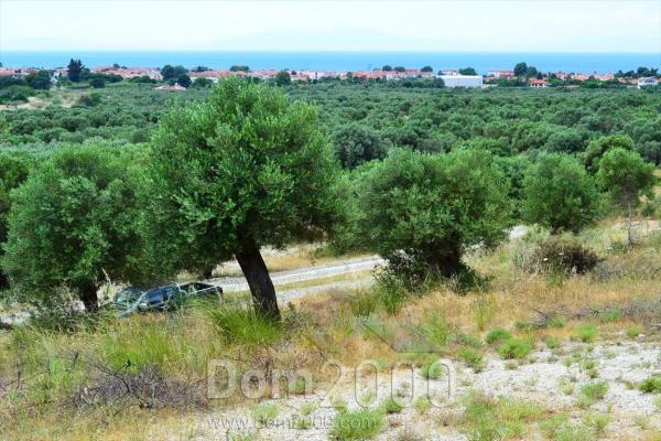 For sale:  land - Kassandra (4112-081) | Dom2000.com