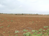 Продам земельну ділянку - Кассандра (4119-081) | Dom2000.com