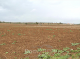 For sale:  land - Kassandra (4119-081) | Dom2000.com