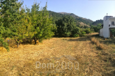 For sale:  land - Iraklion (crete) (7679-082) | Dom2000.com