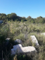 For sale:  land - Лесозащитная улица, 78в str., Slov'yansk city (9657-082) | Dom2000.com #67002875