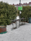 For sale:  1-room apartment - Образцовая улица, 9 str., п. Shushary (10614-084) | Dom2000.com #77202602