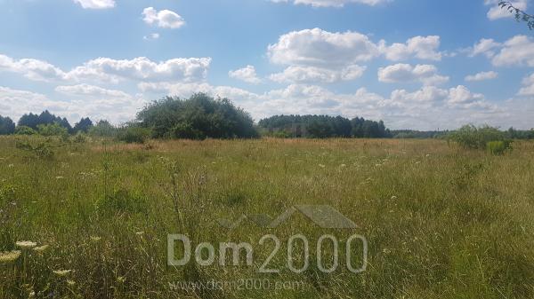 Продам земельну ділянку - вул. Калиновая, с. Березівка (9691-084) | Dom2000.com