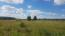 For sale:  land - Калиновая str., Berezivka village (9691-084) | Dom2000.com #67314531