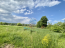 For sale:  land - Советская улица, 10 str., д. Nikulskoe (10458-088) | Dom2000.com #75480543