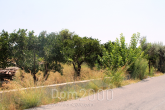 Продам земельну ділянку - Родос (4111-089) | Dom2000.com