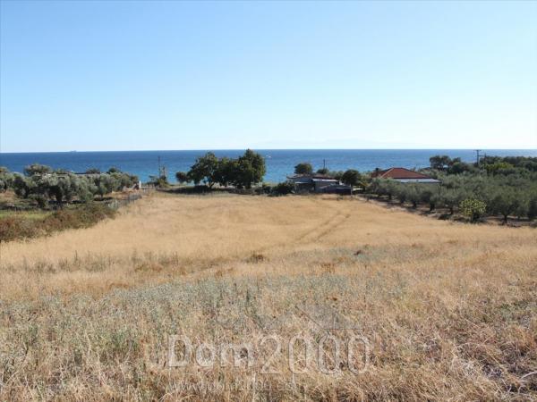 For sale:  land - Kassandra (4120-089) | Dom2000.com