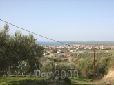 For sale:  land - Sithonia (4119-091) | Dom2000.com