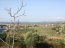 For sale:  land - Sithonia (4119-091) | Dom2000.com #24540309