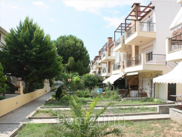 For sale:  home - Sithonia (5364-092) | Dom2000.com