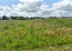 For sale:  land - Тетеревка str., Bohunskyi (10047-093) | Dom2000.com #70941051