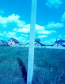 For sale:  land - Тетеревка str., Bohunskyi (10047-093) | Dom2000.com #70941053