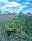 For sale:  land - Тетеревка str., Bohunskyi (10047-093) | Dom2000.com #70941054